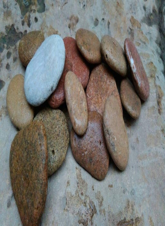 Maalavya Multi Color Flat unpolished River Stones for Home and Garden, Painting, Table Decor, Aquarium Substrate (1Kg) - Image 4